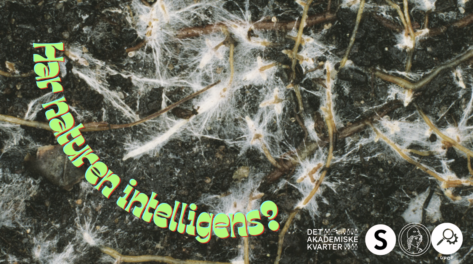 Har naturen intelligens?